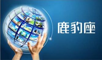 網(wǎng)絡營銷策劃 信息網(wǎng)絡經營游戲產品的多元化方法與實戰(zhàn)策略